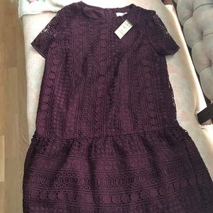 Loft dress NWT, smoke free home. Beautiful detail.
